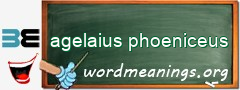 WordMeaning blackboard for agelaius phoeniceus